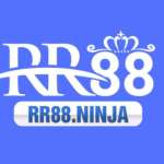 rr88 ninja Profile Picture