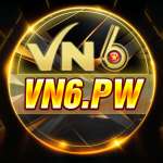 VN6 vn6pw Profile Picture