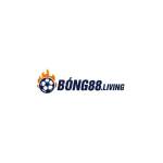 nhacai bong88 Profile Picture