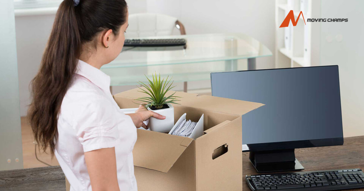 Professional Office Relocation Sydney | Office Removalists!