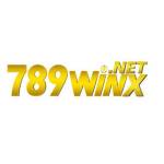 789WIN Trang Chá»§ Nhà Cái 789win com chÃnh thức 2024 Profile Picture