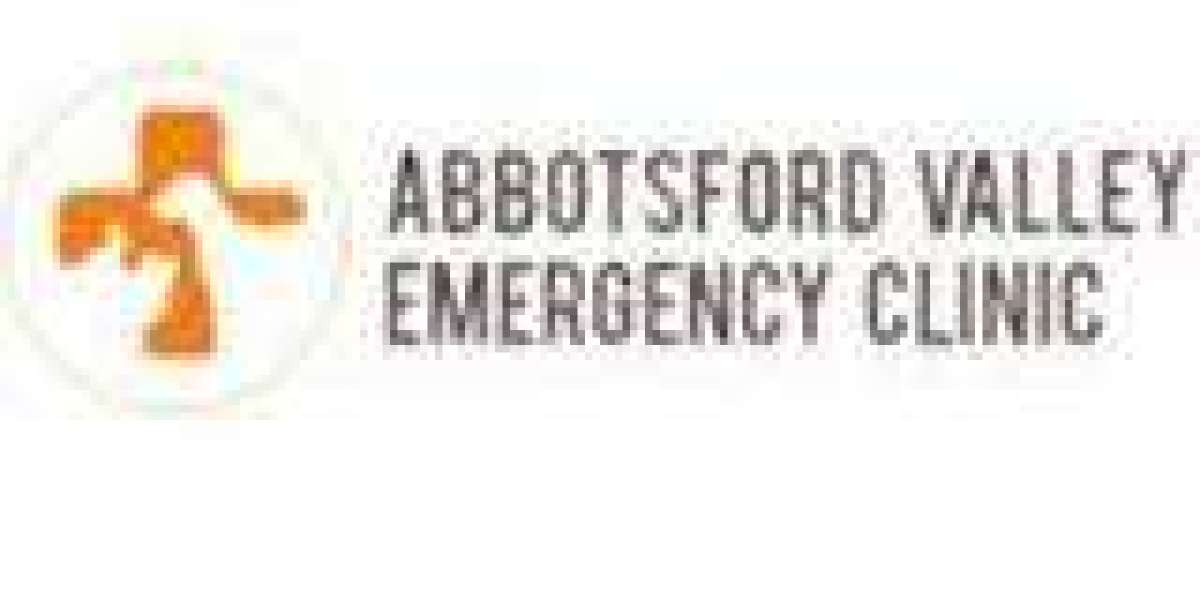 24/7 Emergency Vet Service in Hope and Abbotsford: Immediate Care for Your Pet