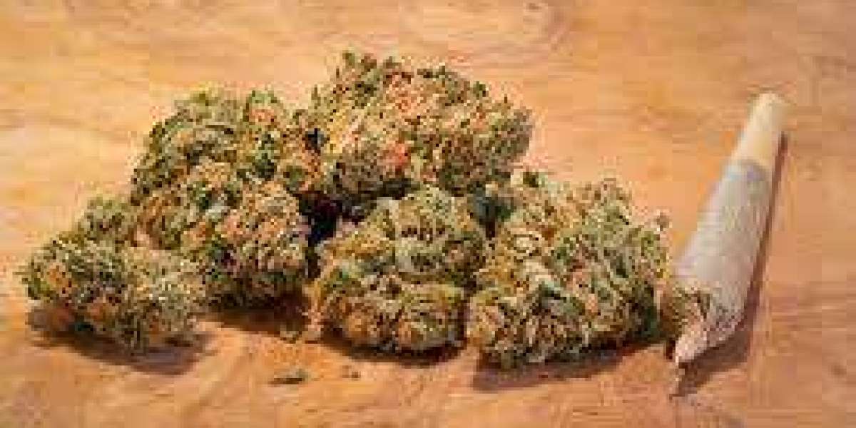 Elevate Your Experience with Premium Weed Delivery in the Bronx