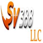 SV388 csgi Profile Picture