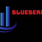 Blueberryblackout com Profile Picture