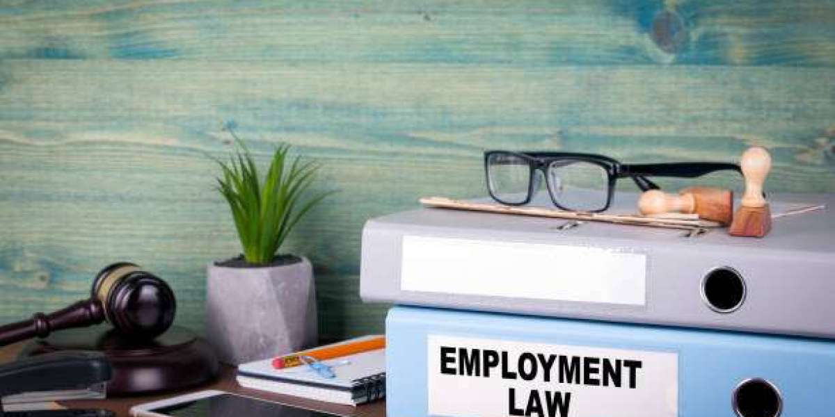 The Importance of Employment Law Consultation for Businesses and Employees