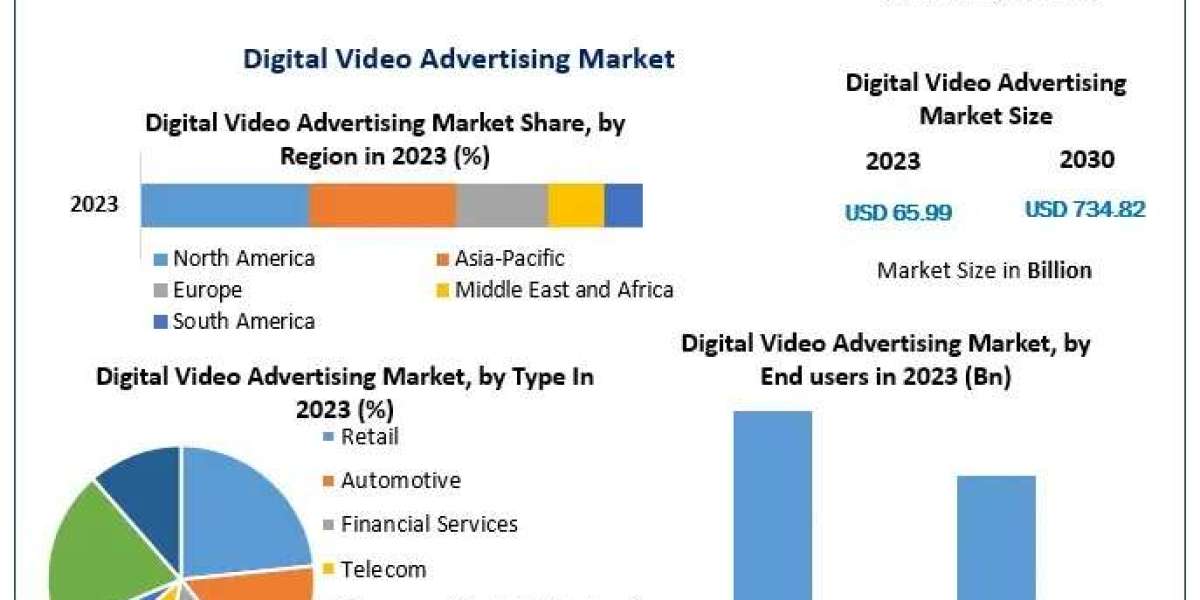 Strategic Insights into the Global Digital Video Advertising Market 2024-2030