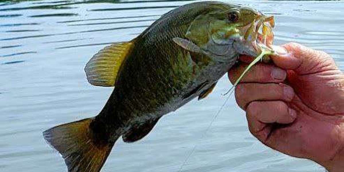 Fishing with Ferris Guide Service Your Premier McKenzie River Fishing Guide