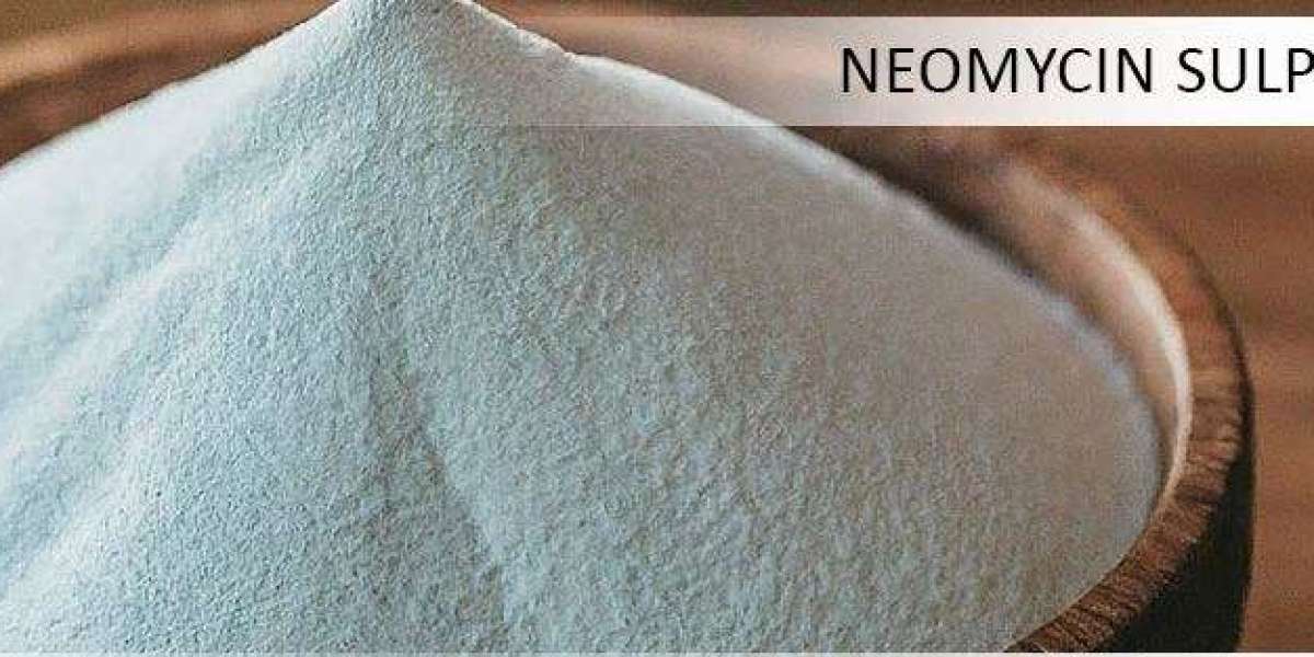 Neomycin Sulphate Prices | Pricing | Trend | News | Database | Chart | Forecast