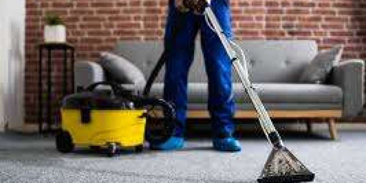 Improve Indoor Wellness with Regular Carpet Cleaning