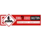 Zebra Techies Solution ZTS Profile Picture