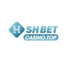 shbetcasinotop Profile Picture
