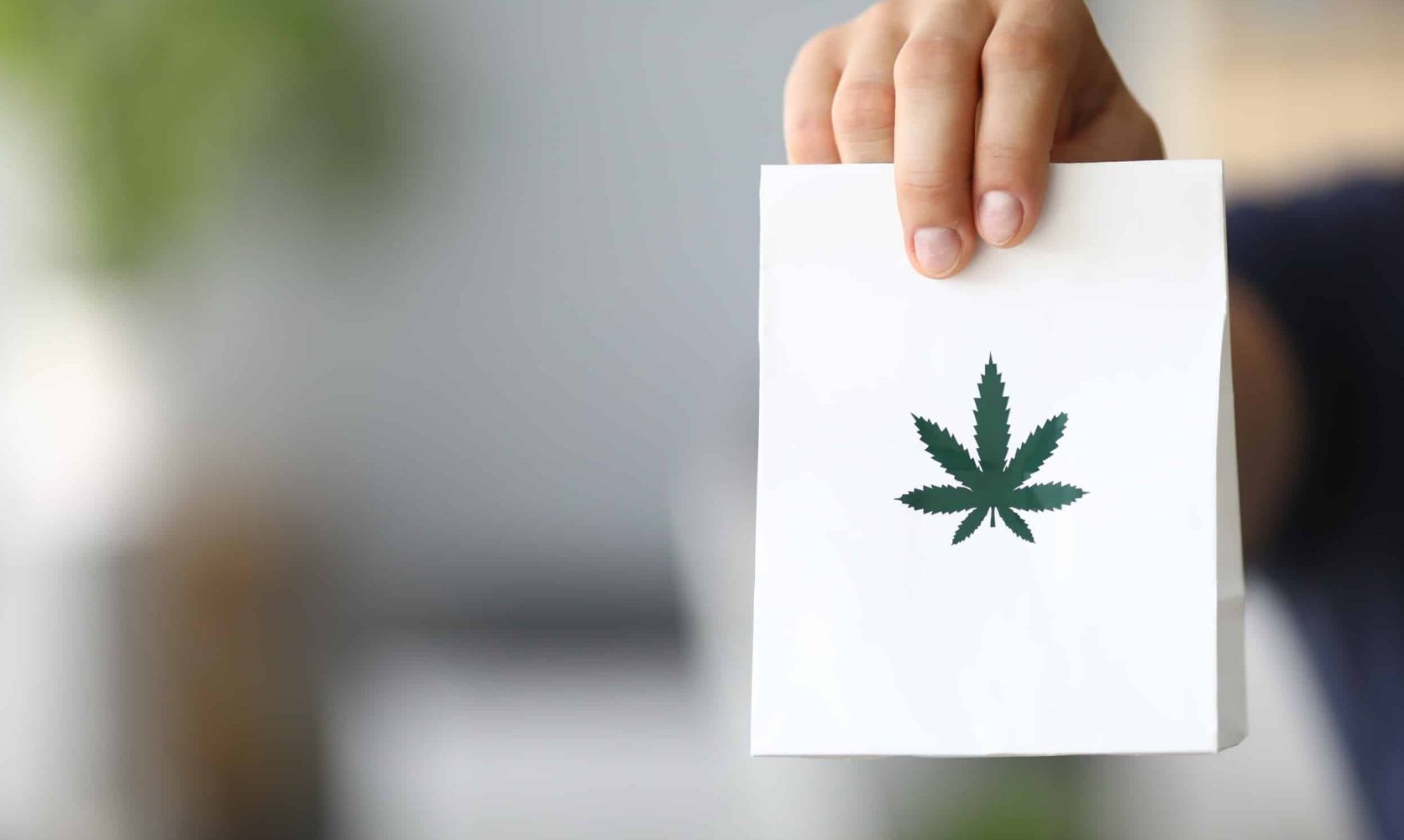 Premium Cannabis Online: 3 Reasons to Choose our Weed Store