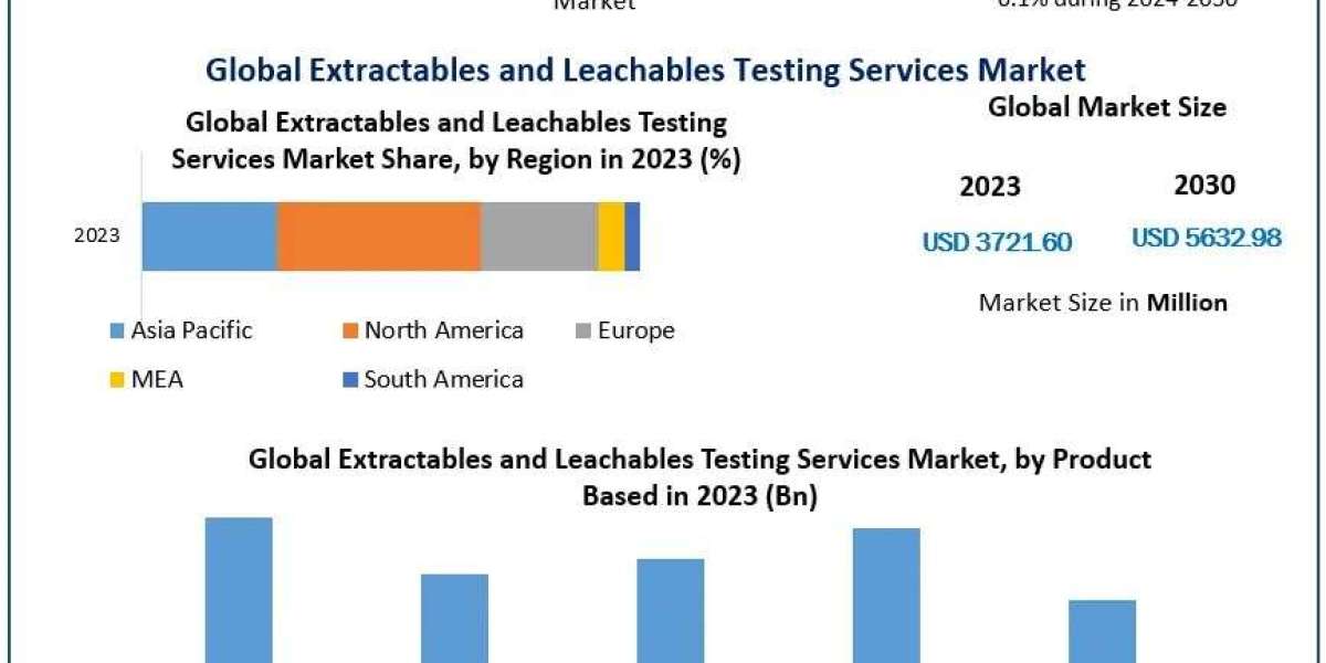 Innovations in Testing: What’s Next for the Extractables and Leachables Testing Services Market in 2024