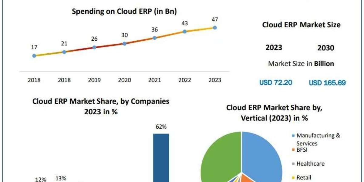 Strategic Insights into the Global Cloud ERP Market 2024-2030