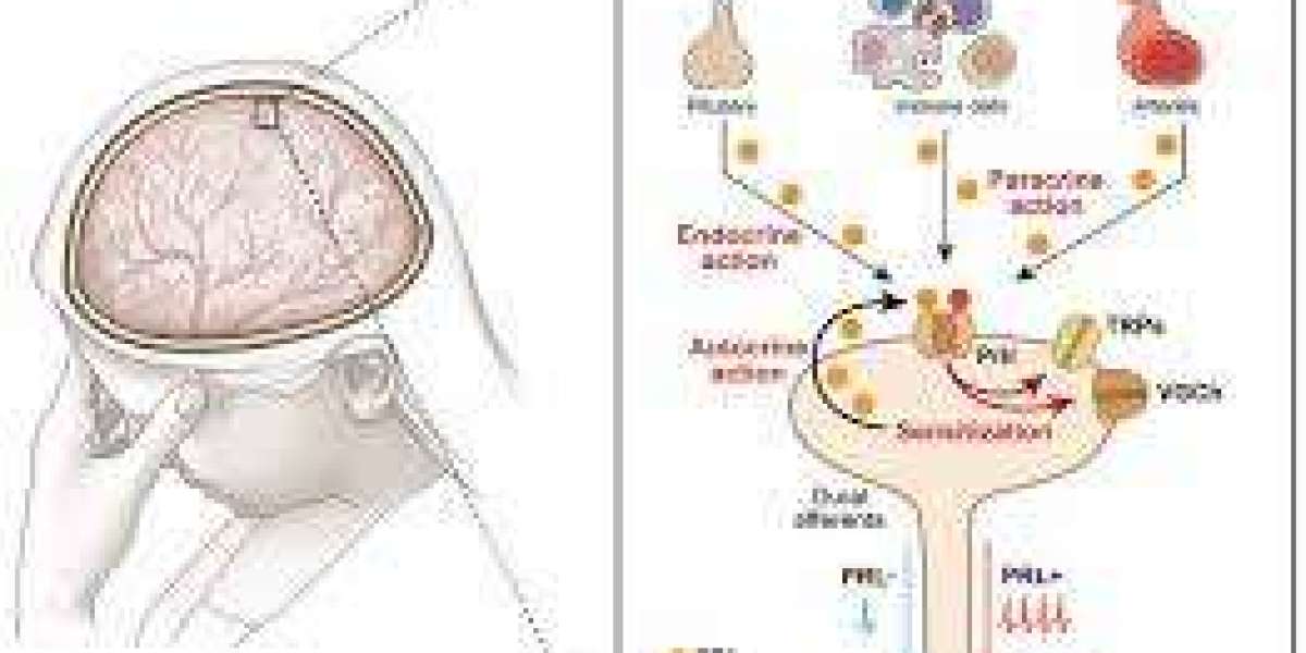 Cabergoline: Effective Treatment for Hormonal Imbalances