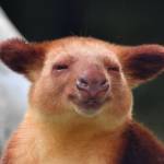 Kelvin378 Nagano Profile Picture