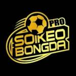 Kèo Bóng Đá profile picture
