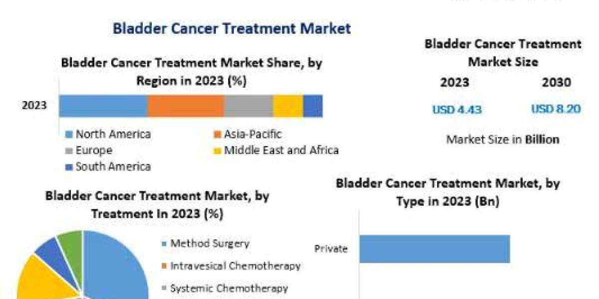 Bladder Cancer Treatment Market Insights on Scope and Growing Demands-2030