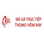 Đá Gà Trực Tiếp Thomo Hôm Nay Profile Picture