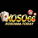 Xoso66 Today profile picture