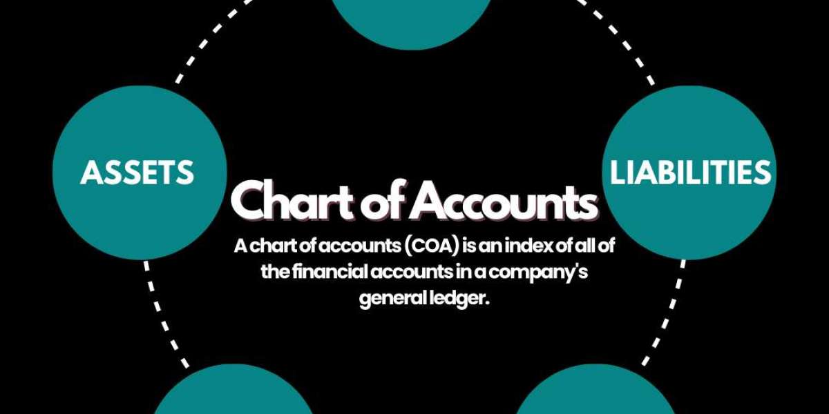 Understanding the Chart of Accounts: A Guide for Businesses