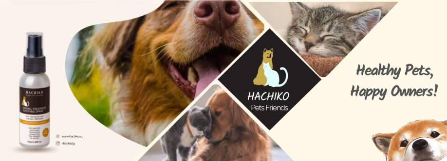 Hachiko Singapore Cover Image