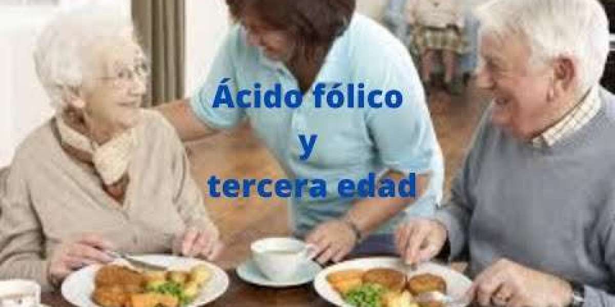 Ácido Fólico: El Aliado Esencial para la Salud Femenina y un Embarazo Saludable