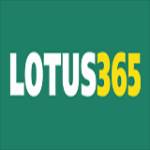 Lotus Cric profile picture