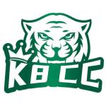 k8cc 1pro Profile Picture