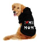 Dog Clothing Profile Picture
