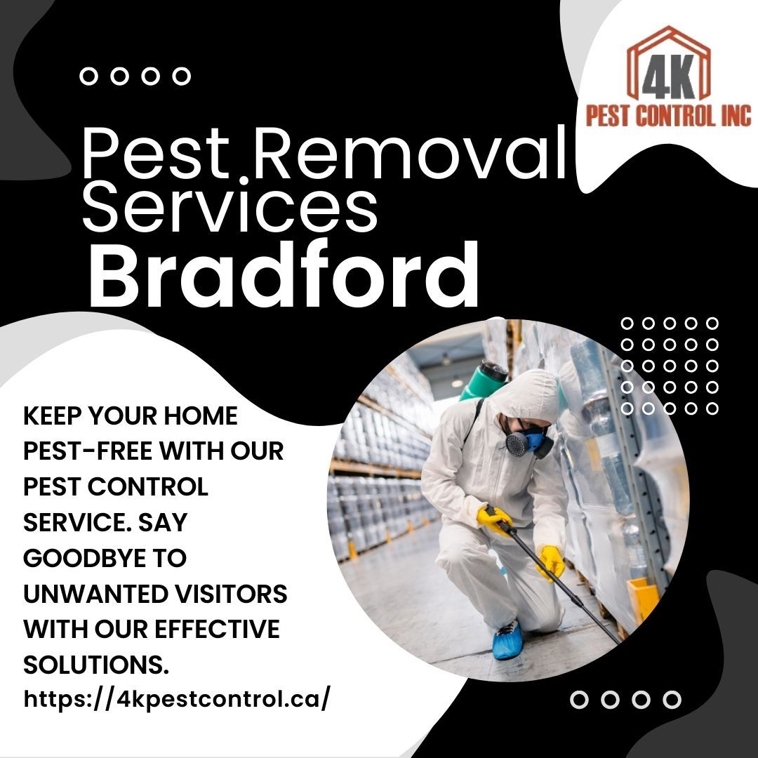 How to Select the Best Pest Control Services in Newmarket for Your Home – @4kpestcontrol on Tumblr