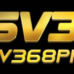 sv368 procom Profile Picture