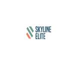 skylineelite Profile Picture