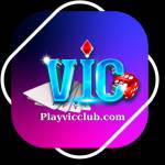 playvicclub Profile Picture