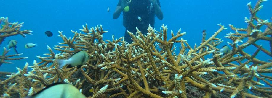 Seahwks Scuba Cover Image