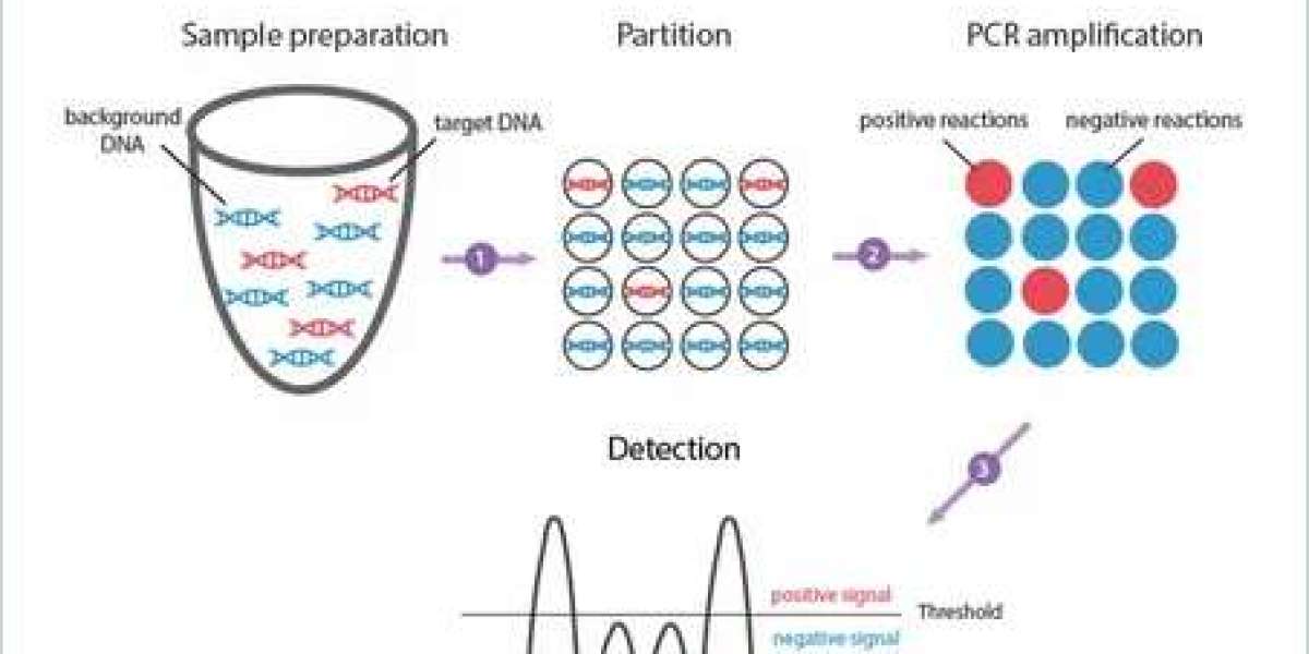 Digital PCR Market Trends, Industry Growth and Forecast Report 2033