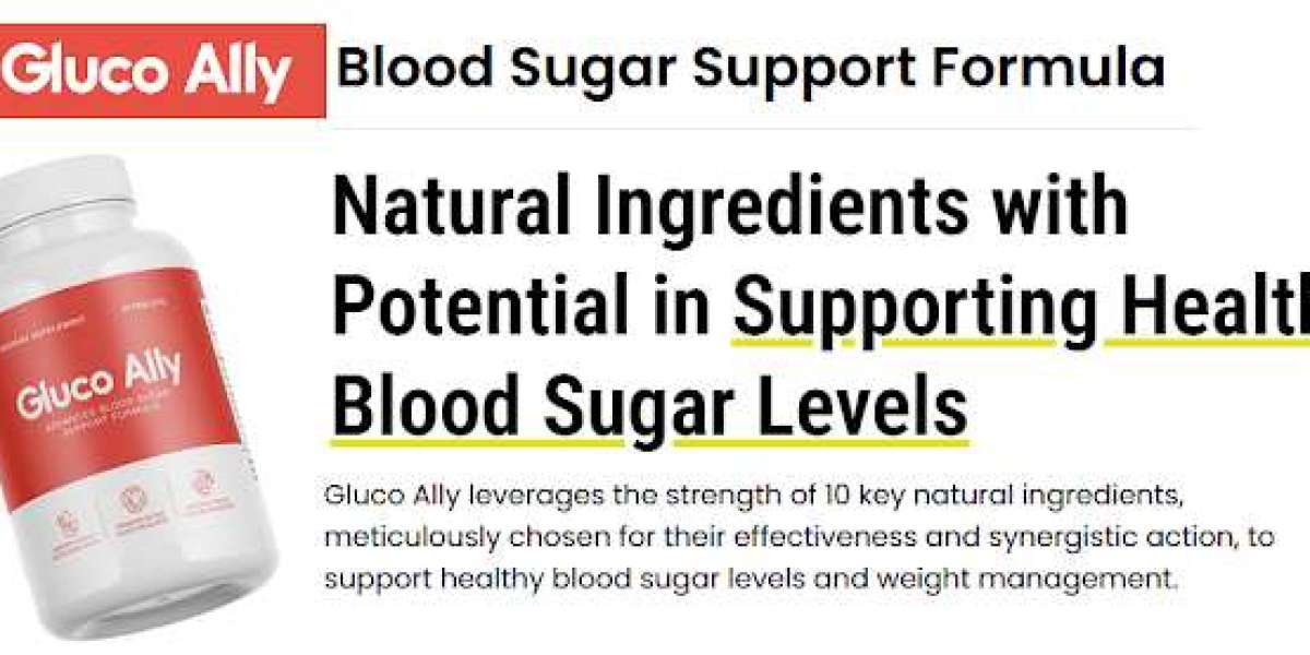 Gluco Ally Blood Sugar Support: The Safe and Effective Way to Manage Diabetes [Official Website]