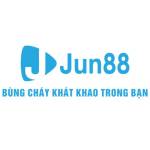jinjun88com Profile Picture