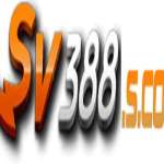 sv388 m911 Profile Picture