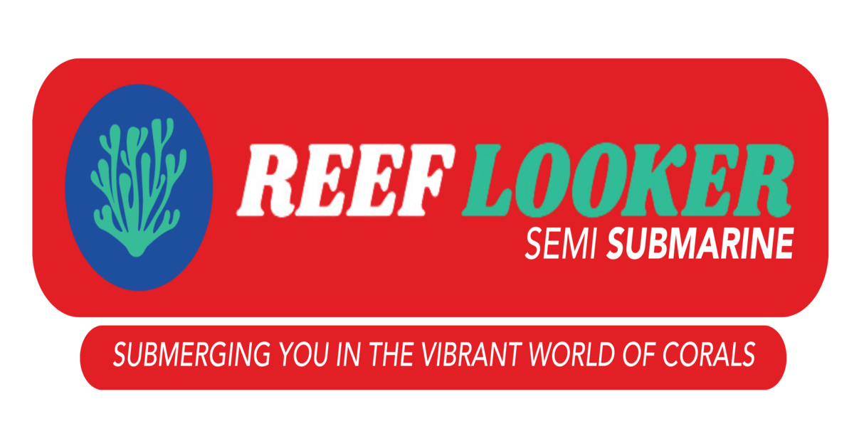 Dive into Adventure: Water Activities in Andaman with Reef Looker