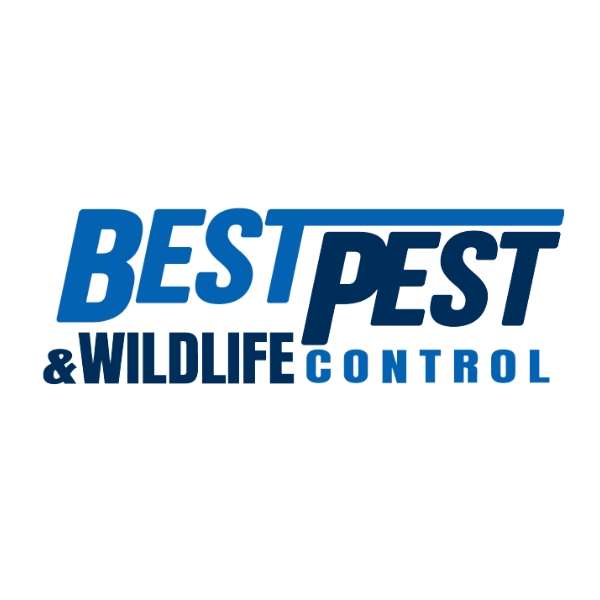 Best Pest and Wildlife Control Profile Picture