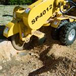 Alex Tree and Garden Services Profile Picture