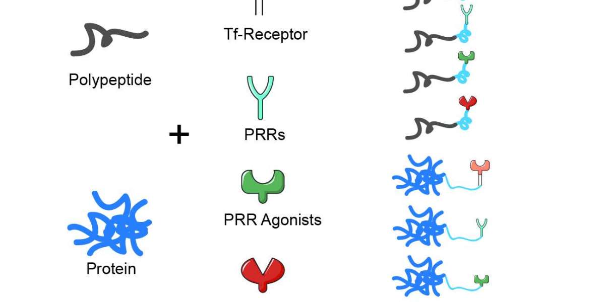 Agonist-Based Adjuvants for Enhanced Vaccine Efficacy