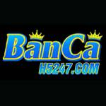 bancah5 247com Profile Picture