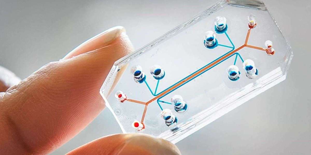 Organ-on-a-Chip Market Insights: From Lung-on-Chip to Human-on-Chip Solutions