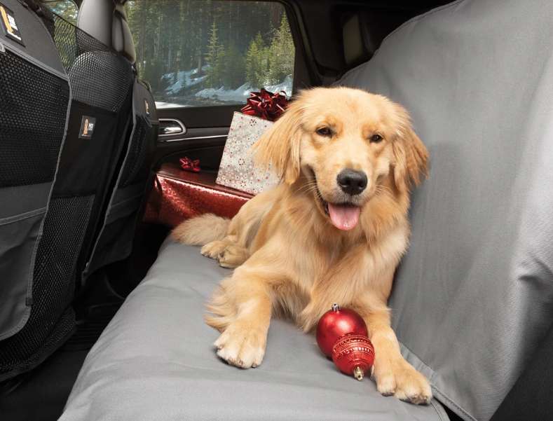 Rear seat protectors for pets Profile Picture