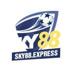 sky88arspicta Profile Picture