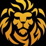 Lions sales group Profile Picture