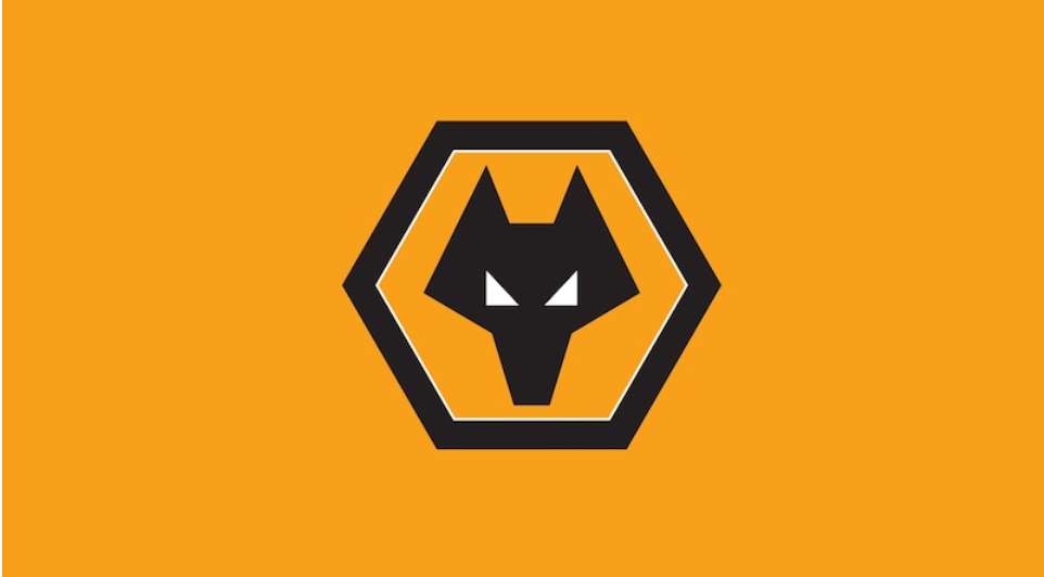 Wolves fanclub Wolves VN Profile Picture